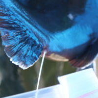 IMG_5833 IMG_5833